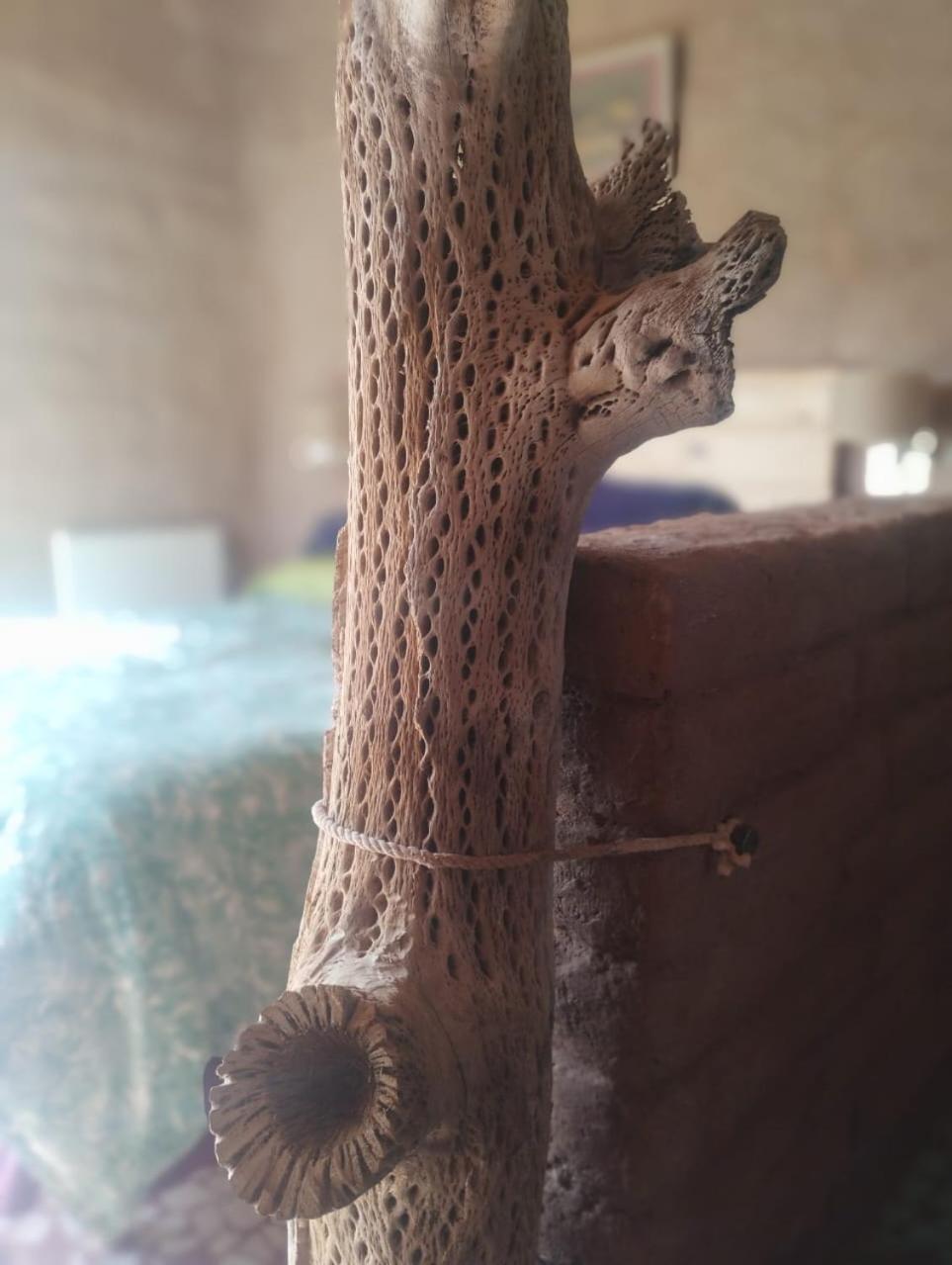 Las Ranas Tilcara Esterno foto